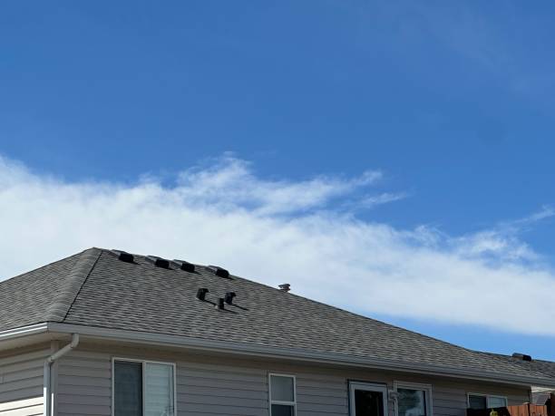 Best Roof Ventilation Installation  in Laureles, TX